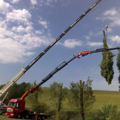 noleggio-piattaforme-aeree-02-1