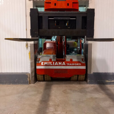 sollevatore-telescopico-elettrico-parma-17